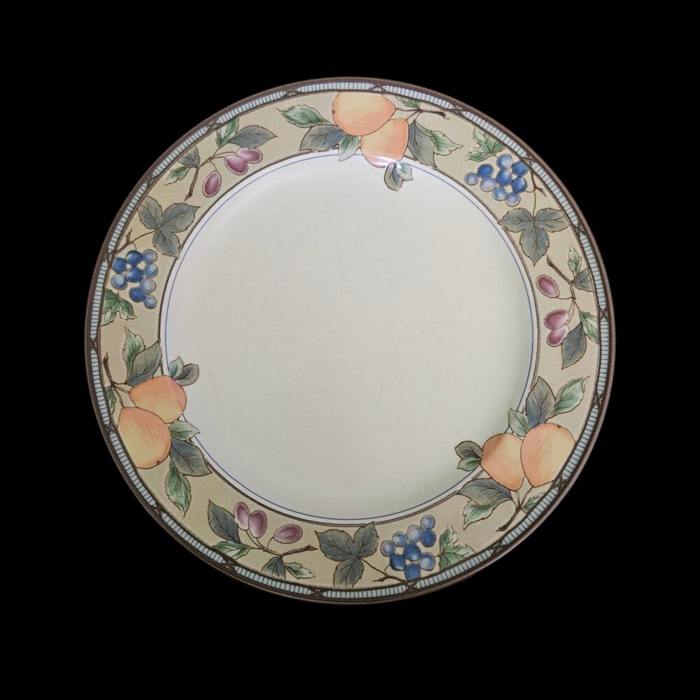 Mikasa Intaglio Garden Harvest CAC29 Dinner Plates Set of 2 Fruit Border